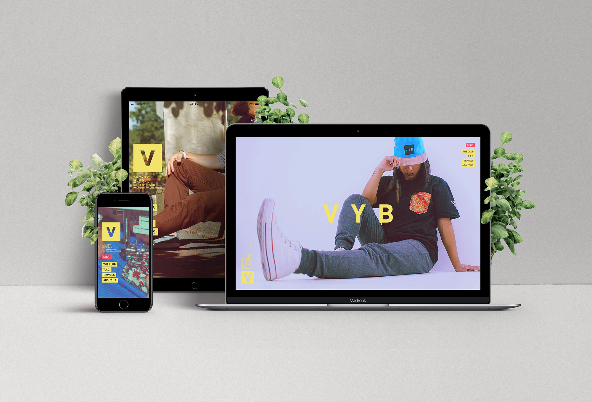 Image-Centric Website Identity